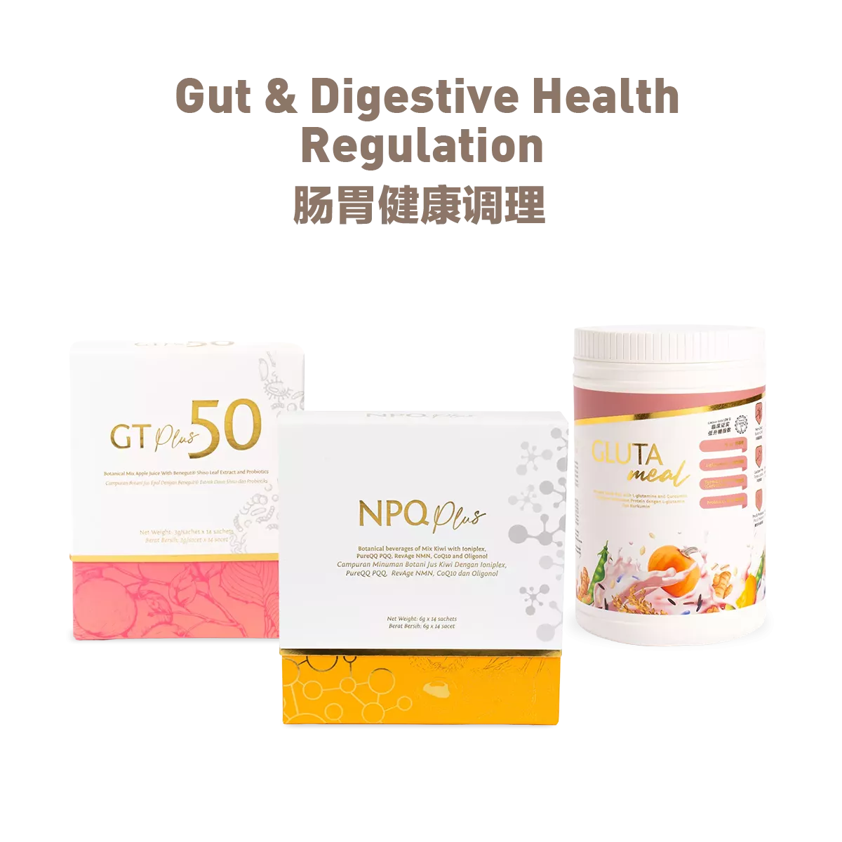 bundle-gut-digestive-health-regulation-1-6a67924ad1674